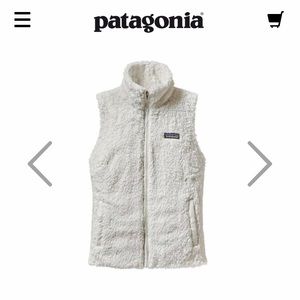Patagonia fur vest